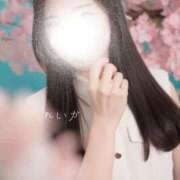 ヒメ日記 2025/05/08 19:52 投稿 れいか でりどす