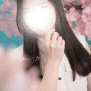 ヒメ日記 2025/09/24 23:07 投稿 れいか でりどす