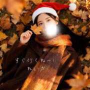 ヒメ日記 2026/02/19 14:00 投稿 れいか でりどす