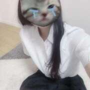 ヒメ日記 2025/03/25 17:47 投稿 三浦　さつき ナディア名古屋店