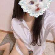 ヒメ日記 2025/04/04 16:40 投稿 三浦　さつき ナディア名古屋店