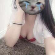 ヒメ日記 2025/04/18 16:37 投稿 三浦　さつき ナディア名古屋店