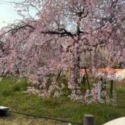 ヒメ日記 2026/04/03 10:34 投稿 しおん でりどす