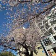 ヒメ日記 2026/04/07 21:25 投稿 しおん でりどす