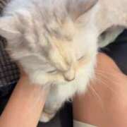 ヒメ日記 2026/08/09 17:01 投稿 しおん でりどす