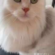 ヒメ日記 2026/08/11 17:51 投稿 しおん でりどす