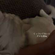 ヒメ日記 2026/08/28 21:41 投稿 しおん でりどす