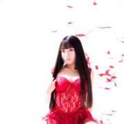 ヒメ日記 2026/02/21 22:08 投稿 せしる でりどす