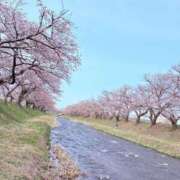 ヒメ日記 2025/04/06 12:01 投稿 るな でりどす