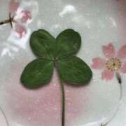 ヒメ日記 2025/04/21 18:53 投稿 るな でりどす