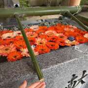 ヒメ日記 2025/05/19 16:50 投稿 るな でりどす