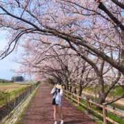 るな 🌙お花見ギリギリいけました🌸 でりどす