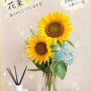 ヒメ日記 2026/09/16 00:21 投稿 るな でりどす
