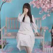 ヒメ日記 2025/03/30 21:03 投稿 ゆき でりどす