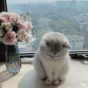 ヒメ日記 2025/02/12 15:10 投稿 さな でりどす