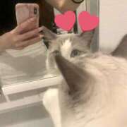 ヒメ日記 2025/09/23 18:15 投稿 さな でりどす