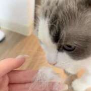 ヒメ日記 2026/03/05 14:00 投稿 さな でりどす