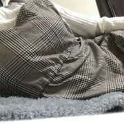 ヒメ日記 2025/01/28 15:00 投稿 たま モアグループ小山人妻花壇