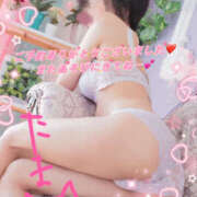 ヒメ日記 2025/01/29 22:26 投稿 たま モアグループ小山人妻花壇