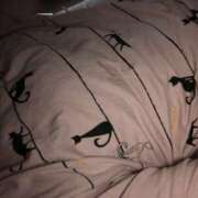 ヒメ日記 2025/03/11 06:23 投稿 たま モアグループ小山人妻花壇