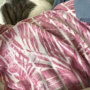 ヒメ日記 2025/07/31 08:48 投稿 たま モアグループ小山人妻花壇