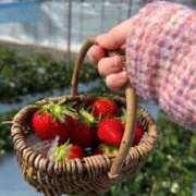 ヒメ日記 2025/03/25 19:12 投稿 きょろ ばつぐん素人プロダクション