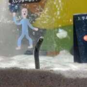 ヒメ日記 2025/03/26 19:27 投稿 きょろ ばつぐん素人プロダクション