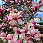 ヒメ日記 2025/04/08 19:40 投稿 きょろ ばつぐん素人プロダクション