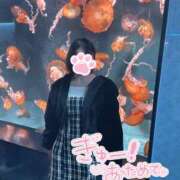 ヒメ日記 2025/02/16 19:04 投稿 きょろ ゆるふわKISS