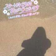 ヒメ日記 2025/03/16 12:28 投稿 ひなた 福岡大野城・板付インターちゃんこ