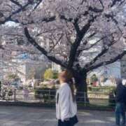 ヒメ日記 2025/04/04 11:48 投稿 ひなた 福岡大野城・板付インターちゃんこ