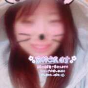 ヒメ日記 2025/10/21 11:58 投稿 ひなた 福岡大野城・板付インターちゃんこ