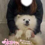 ヒメ日記 2025/11/28 17:38 投稿 ひなた 福岡大野城・板付インターちゃんこ