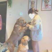 ヒメ日記 2025/12/10 02:38 投稿 ひなた 福岡大野城・板付インターちゃんこ