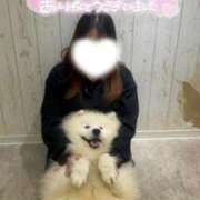 ヒメ日記 2025/12/12 19:28 投稿 ひなた 福岡大野城・板付インターちゃんこ