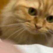 ヒメ日記 2025/07/03 16:27 投稿 あんこ OKINI八王子