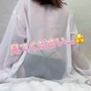 ヒメ日記 2025/12/19 14:27 投稿 あんこ OKINI八王子