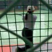 ヒメ日記 2026/06/05 18:55 投稿 あんこ OKINI立川