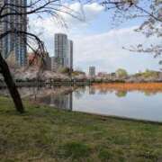 ヒメ日記 2025/04/01 22:06 投稿 まみ 出会い系人妻ネットワーク 五反田～品川編