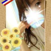 ヒメ日記 2025/07/11 12:37 投稿 まみ 出会い系人妻ネットワーク 五反田～品川編