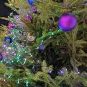 ヒメ日記 2025/12/02 22:19 投稿 まみ 出会い系人妻ネットワーク 五反田～品川編