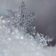 ヒメ日記 2026/02/09 14:15 投稿 まみ 出会い系人妻ネットワーク 五反田～品川編