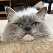 はく お礼💌 Evolution 2nd