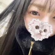 ヒメ日記 2026/01/26 06:45 投稿 はく Evolution 2nd