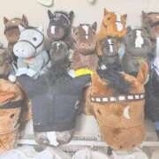 ヒメ日記 2026/04/29 11:14 投稿 はく Evolution 2nd