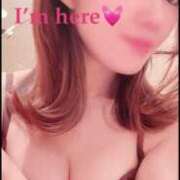 ヒメ日記 2025/03/30 05:55 投稿 あきほ 東京妻next (京都グループ)