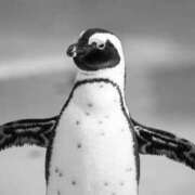 ヒメ日記 2025/03/23 22:26 投稿 さりゅ Hills Premier