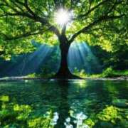 ヒメ日記 2025/03/24 21:28 投稿 さりゅ Hills Premier