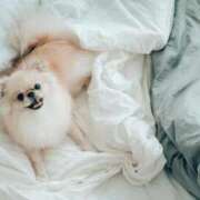 ヒメ日記 2025/04/12 01:18 投稿 さりゅ Hills Premier