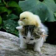 ヒメ日記 2025/05/08 14:33 投稿 さりゅ Hills Premier